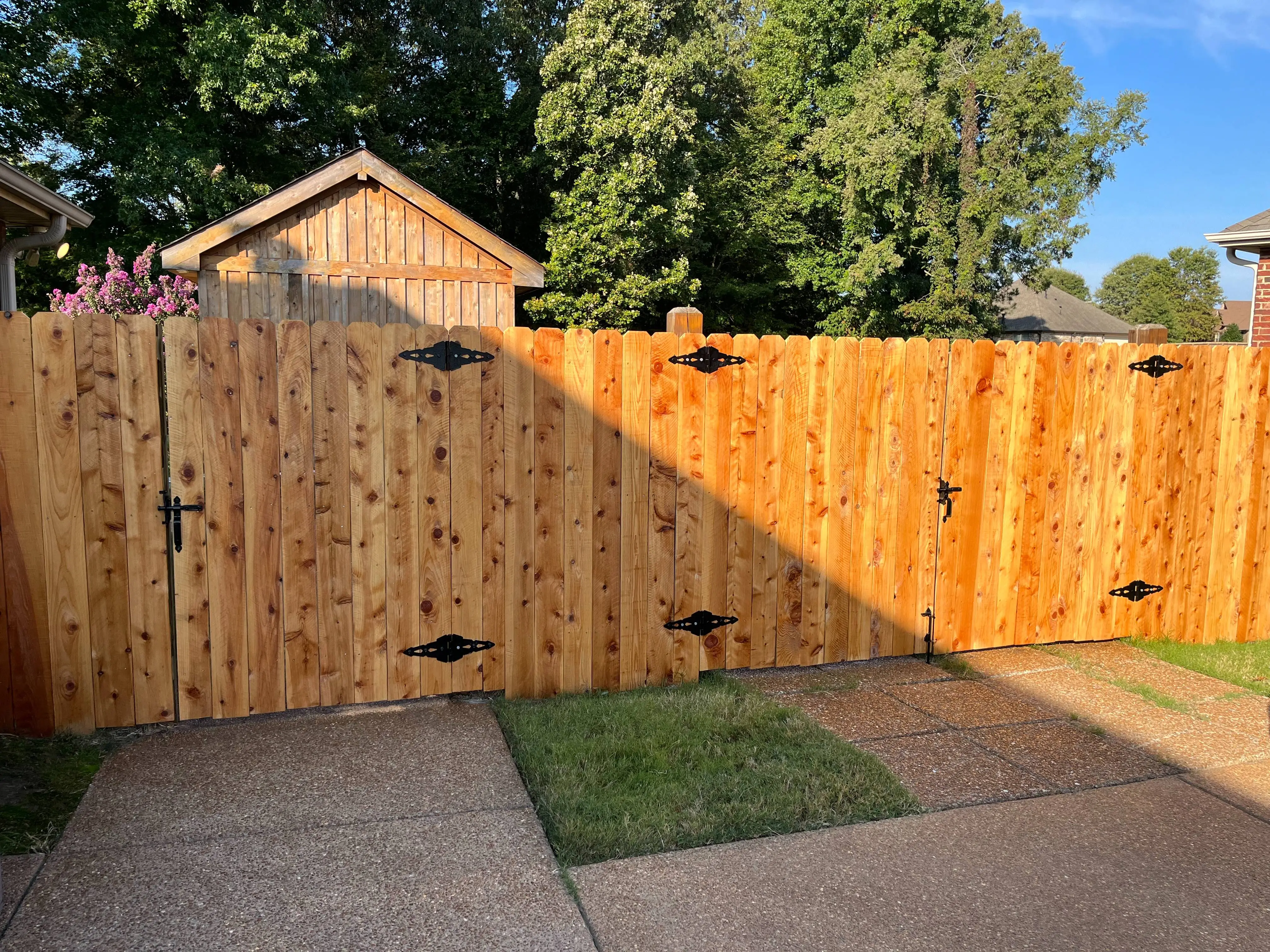 Residential roof cleaning