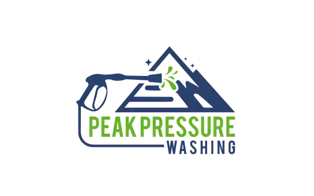 Peak Pressure Wash Logo