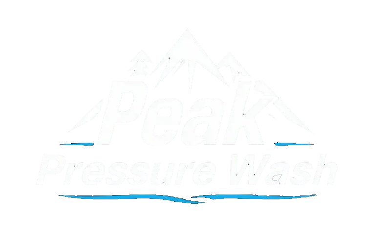 Peak Pressure Wash Logo