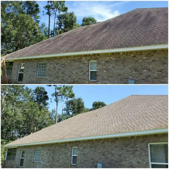 Residential roof cleaning