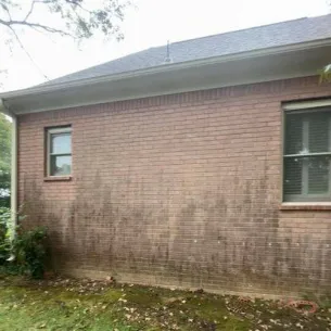 Dirty bricks before pressure washing